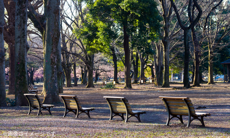 TRINITY FUND 8号 渋谷区上原2丁目PJ